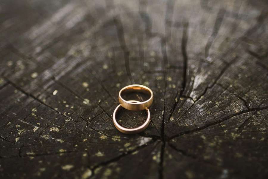 Wedding rings on top of a tree log.